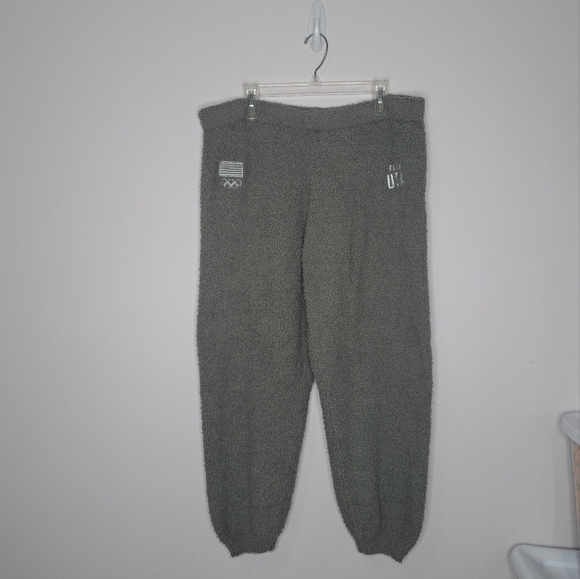 Skims limited edition team usa Olympic lounge pant grey 2X/3X NWT - Picture 2 of 7